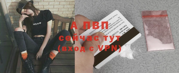 меф Осташков