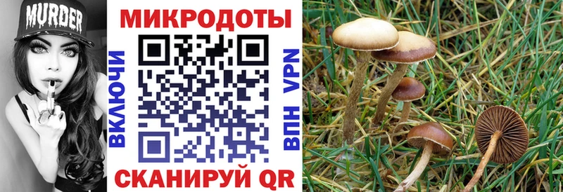 наркотики MEGA сайт Псилоцибиновые грибы мухоморы Серафимович
