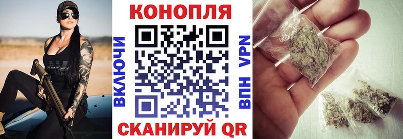 купить  сайты  Серафимович  Каннабис гибрид 
